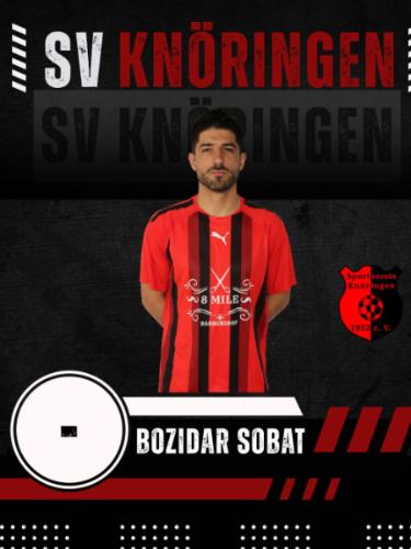 Bozidar Sobat
