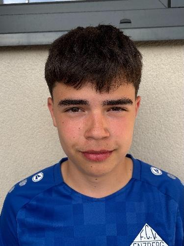 Amar Bajrektarevic