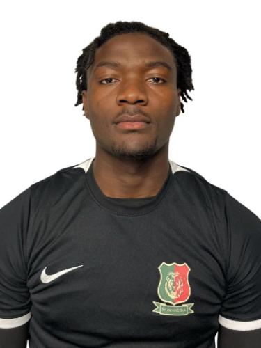 Dilane Amiscal Tchameni