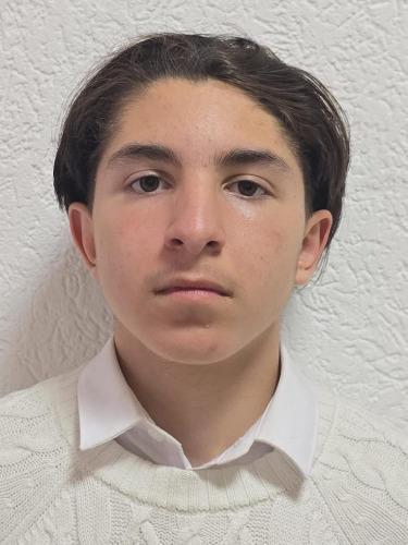 Denis Luciano Waiss