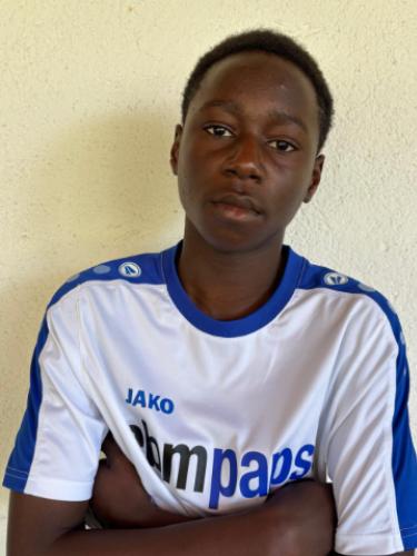Michael Oluwadamilare Gogo