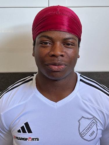 Chinonso Jerry Amaechi