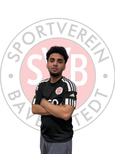 Mohammad Hashem Barekzai