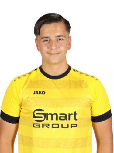 Ajdin Mulalic