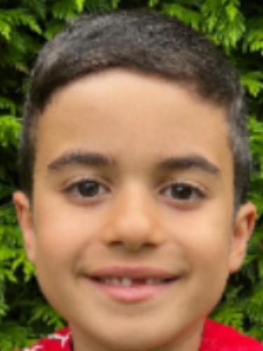 Alp Alkin Akcay
