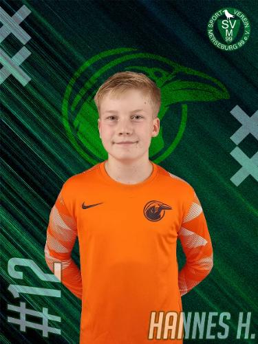 Hannes Finn Heinisch