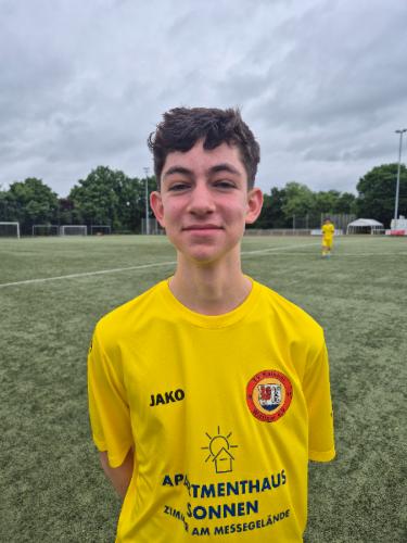 Henrik Linus Willmann