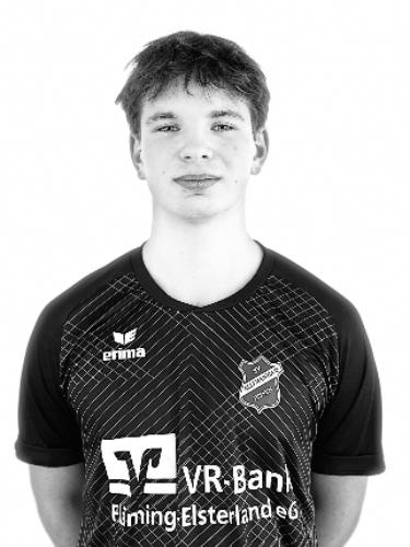 Willi Hermann Thoß