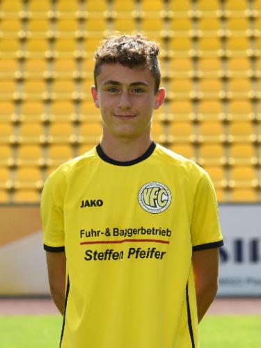 Domenik Heise