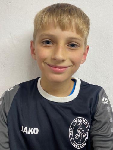 Theo Boden
