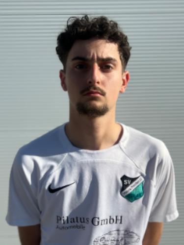 Gabrijel Polenik