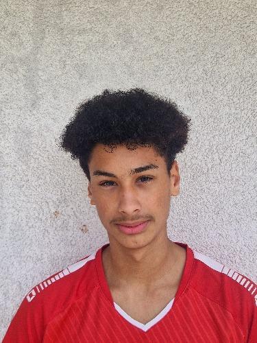Fares El Hessi