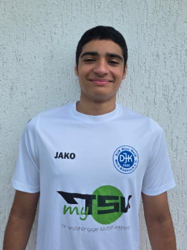 Hadi Mahdi Shams