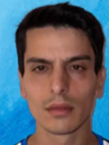 Cemre Bingöl
