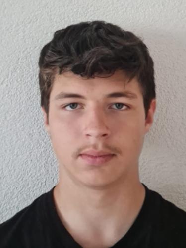 Daniel Borovik