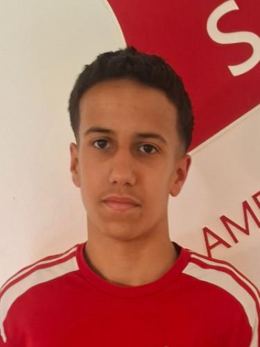 Mehdi Bourass