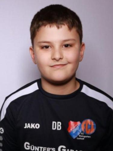 David-Andrei Bocarnea