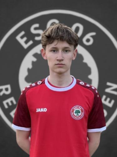 Henri Leonard Müller