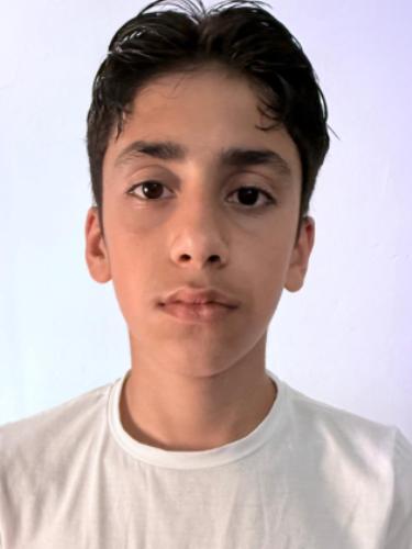 Mohamad Rayan Abou Hawa