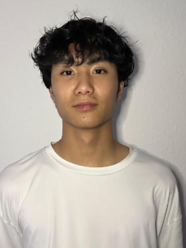 Ngoc Son Bui