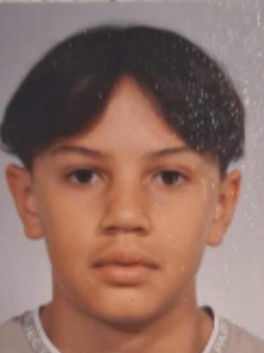 Henri-Michael Holzbaur