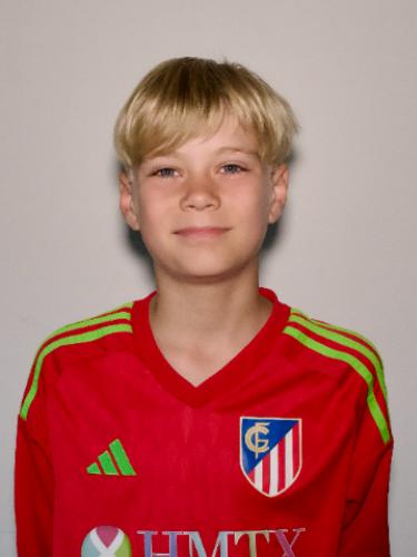 Henry Schildt