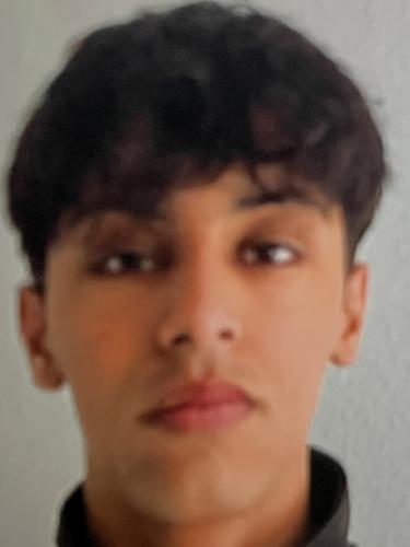 Mohammad Nour Alwaissi