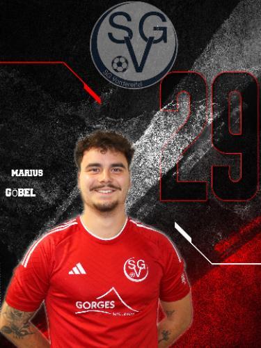 Marius Goebel