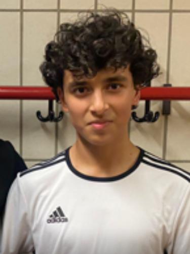 Mahmood Mirzaie