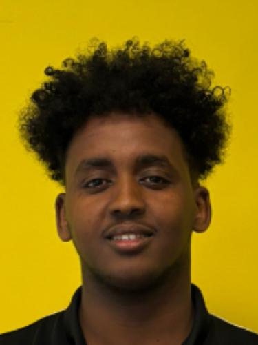 Mohamed Shamsudin Mohamed