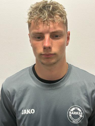 Luis Josef Haunstein