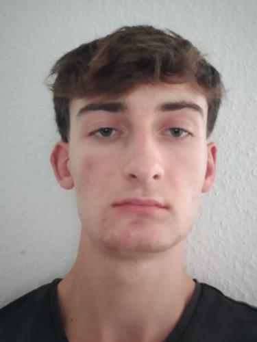 Carl Henri Lilischkis