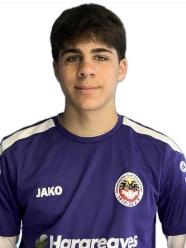 Nikos Georgios Koulousis