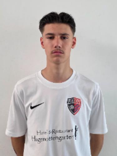 Enrique Couto Vieira