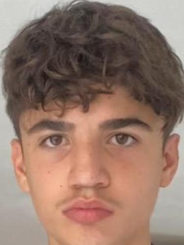 Avaz Özcan