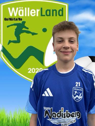 Alexandru Mihai Holom