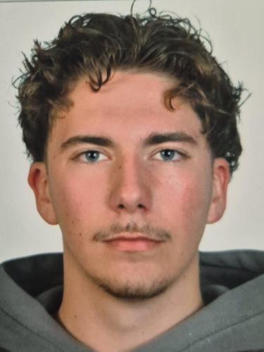 Luca Leandro Hansen