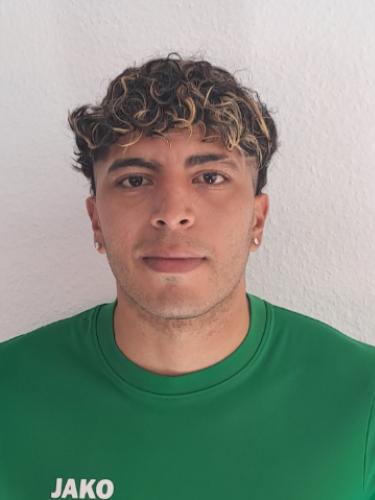 Mario Sergio Lopez Palomino