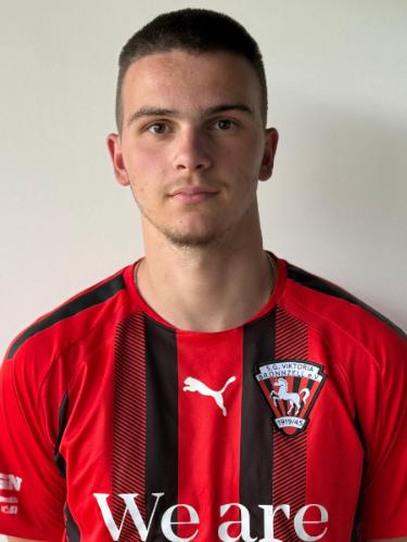 Dusan Udovicic