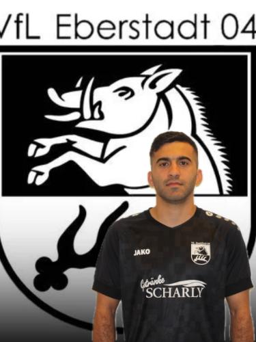 Robin Khorsheed Saleem