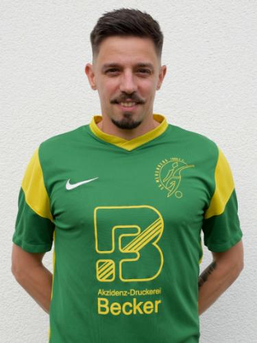 Sergiu Daniel Scarlatescu