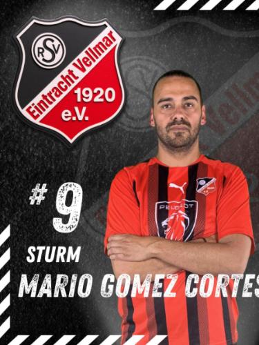Mario Gomez Cortes