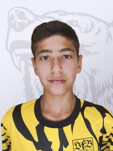 Ömer Faruk Artis