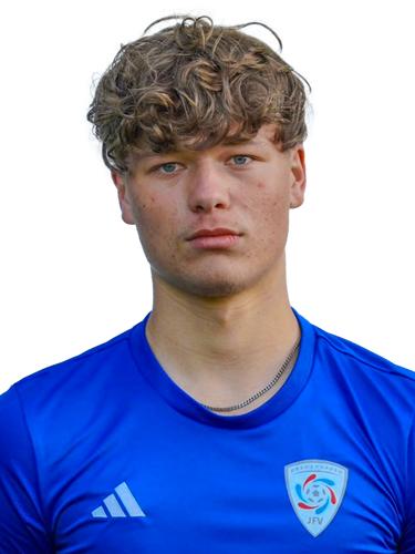 Collin Lion Klein