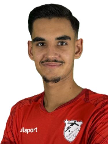 Mladen Panic