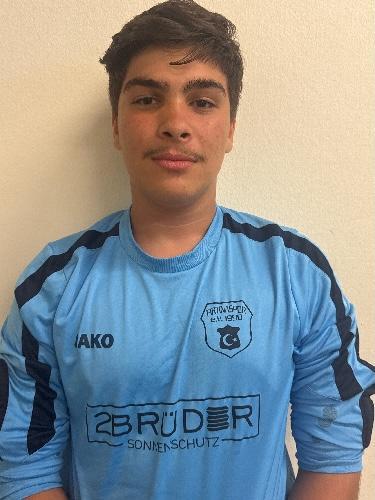 Florian-Cristian Dogaru