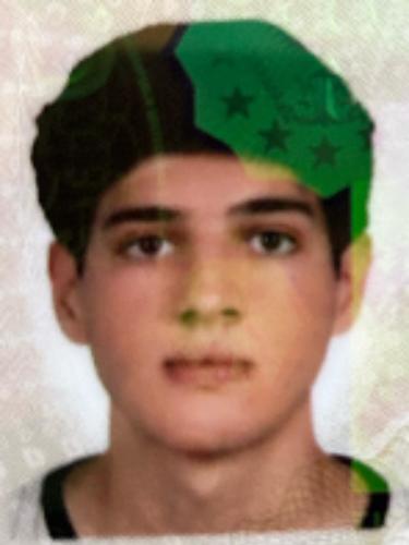 Metehan Hamza Turgut