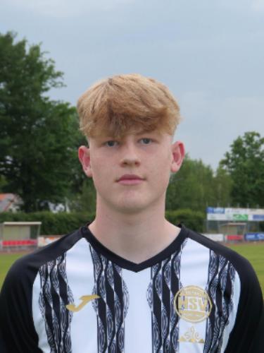 Luca Steins