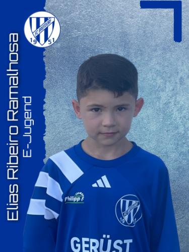 Elias Ribeiro Ramalhosa