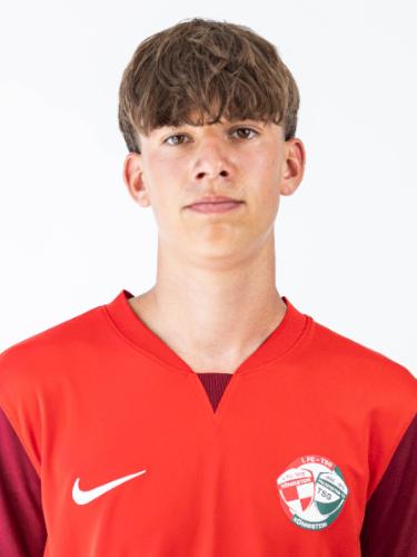 Luis Wittek
